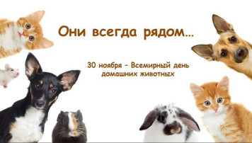 30 ноября - Всемирный день домашних животных 30 ноября - Всемирный день домашних животных.